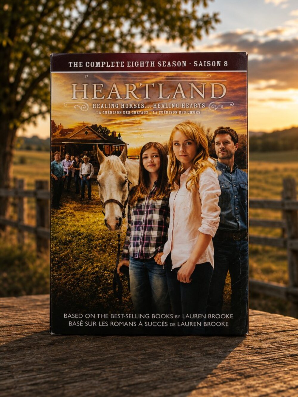 Heartland Complete Eighth Season 8 (5-DVD Set, Region 1) Very Good condition!